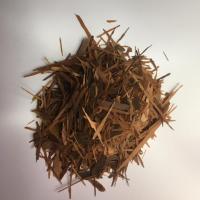 Aubier de lapacho synbiovie