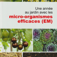 Une annee au jardin recto synbiovie fr